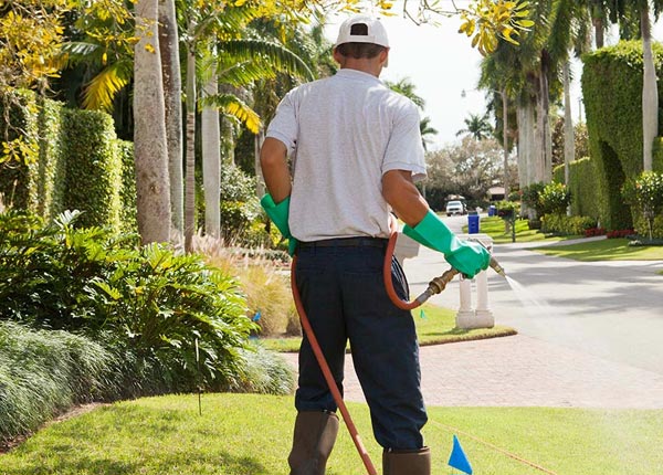 About Luling TX Pest Control